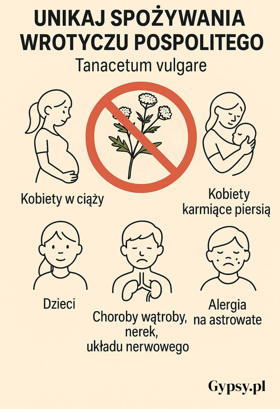 Infografika ostrzegająca przed spożywaniem wrotyczu pospolitego (Tanacetum vulgare); przedstawia zakaz stosowania przez kobiety w ciąży, karmiące piersią, dzieci, osoby z chorobami wątroby, nerek, układu nerwowego oraz alergią na astrowate.